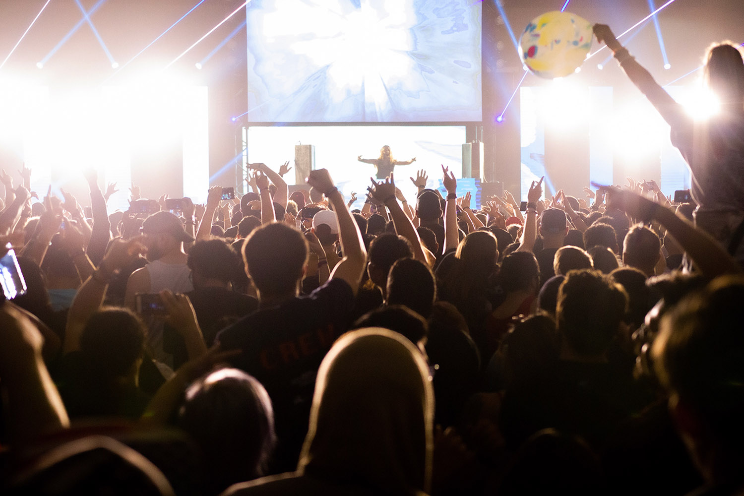 ./assets/img/photos/Seven Lions.jpg